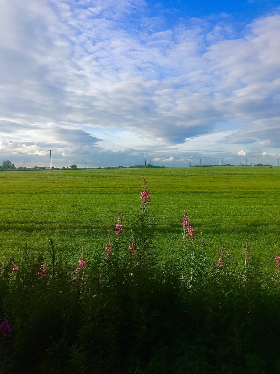 natashaeunice_'s tweet photo. So I have survived my first group run tonight with a lovely local group of ladies from RunBuds. I was THE WORST but  managed 4.46 miles and some lovely views along the way. Time to pass out now... 😅 #thesweatisreal https://t.co/1ziBnuMZ1d