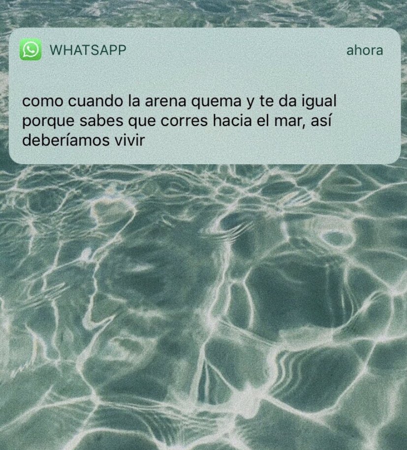 María Segura tweet media
