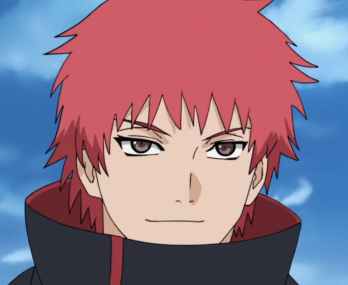 Sasori as a Cinnamon Teal