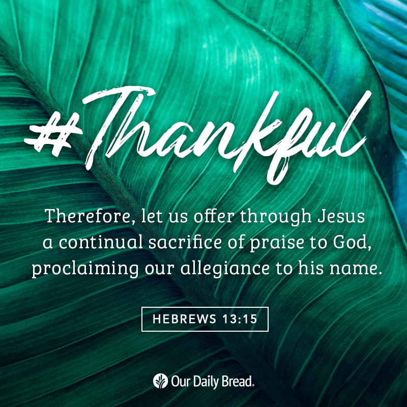 ourdailybread's tweet photo. What are you giving God thanks for today? #ThankfulThursday⠀
⠀
#OurDailyBread #thankful #grateful #gratitude #thankyoujesus #appreciative #givethanksdaily #givethanksinallthings https://t.co/sptrjmR9od