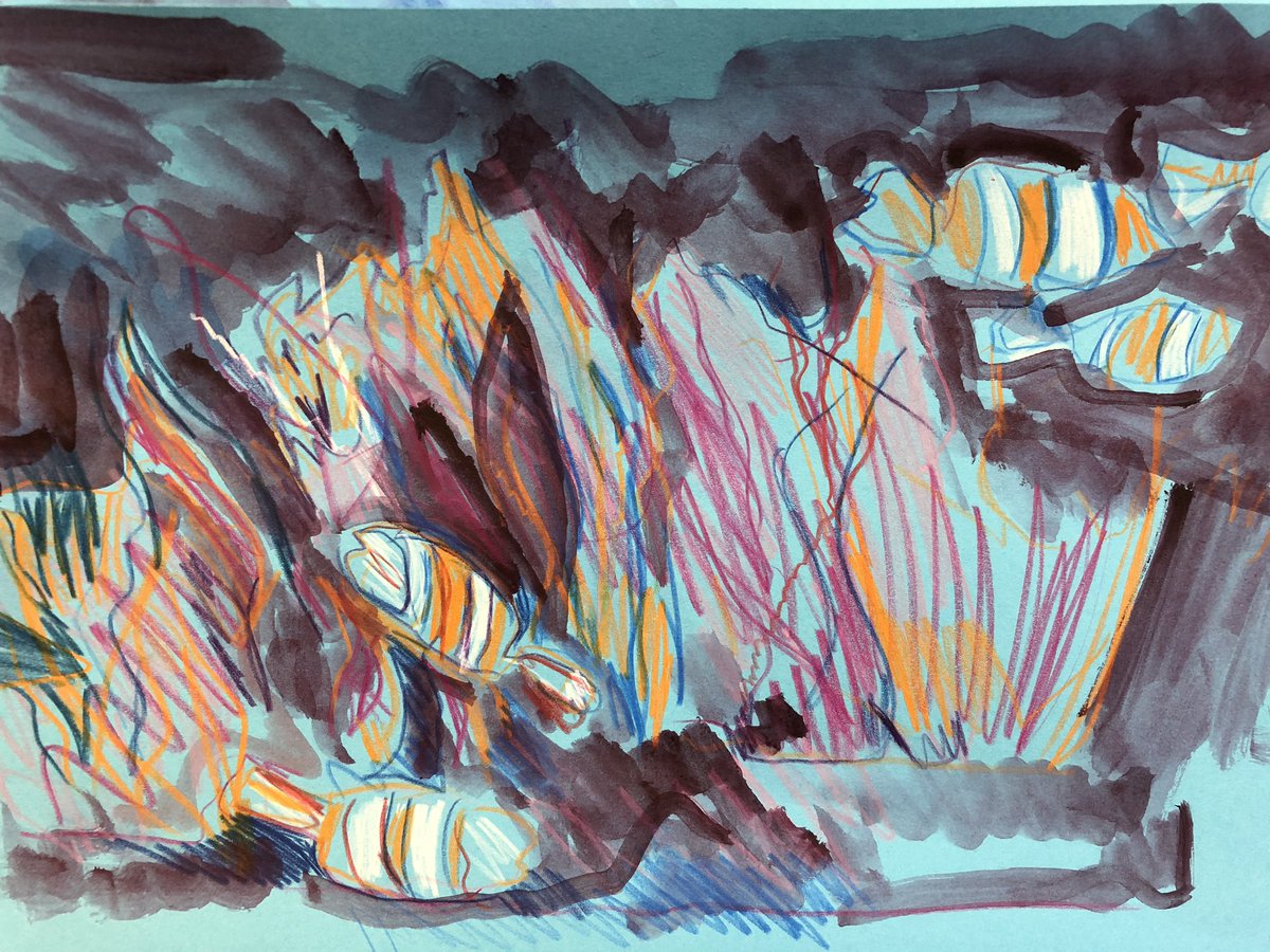 sarah davis (@sardav64) on Twitter photo Drawing earlier this evening the #coralreefs at <a href="/london_aquarium/">SEA LIFE London Aquarium</a> with <a href="/WildDrawing/">Wild Life Drawing</a> a lovely drawing session thank you Jennie Drawing earlier this evening the #coralreefs at <a href="/london_aquarium/">SEA LIFE London Aquarium</a> with <a href="/WildDrawing/">Wild Life Drawing</a> a lovely drawing session thank you Jennie