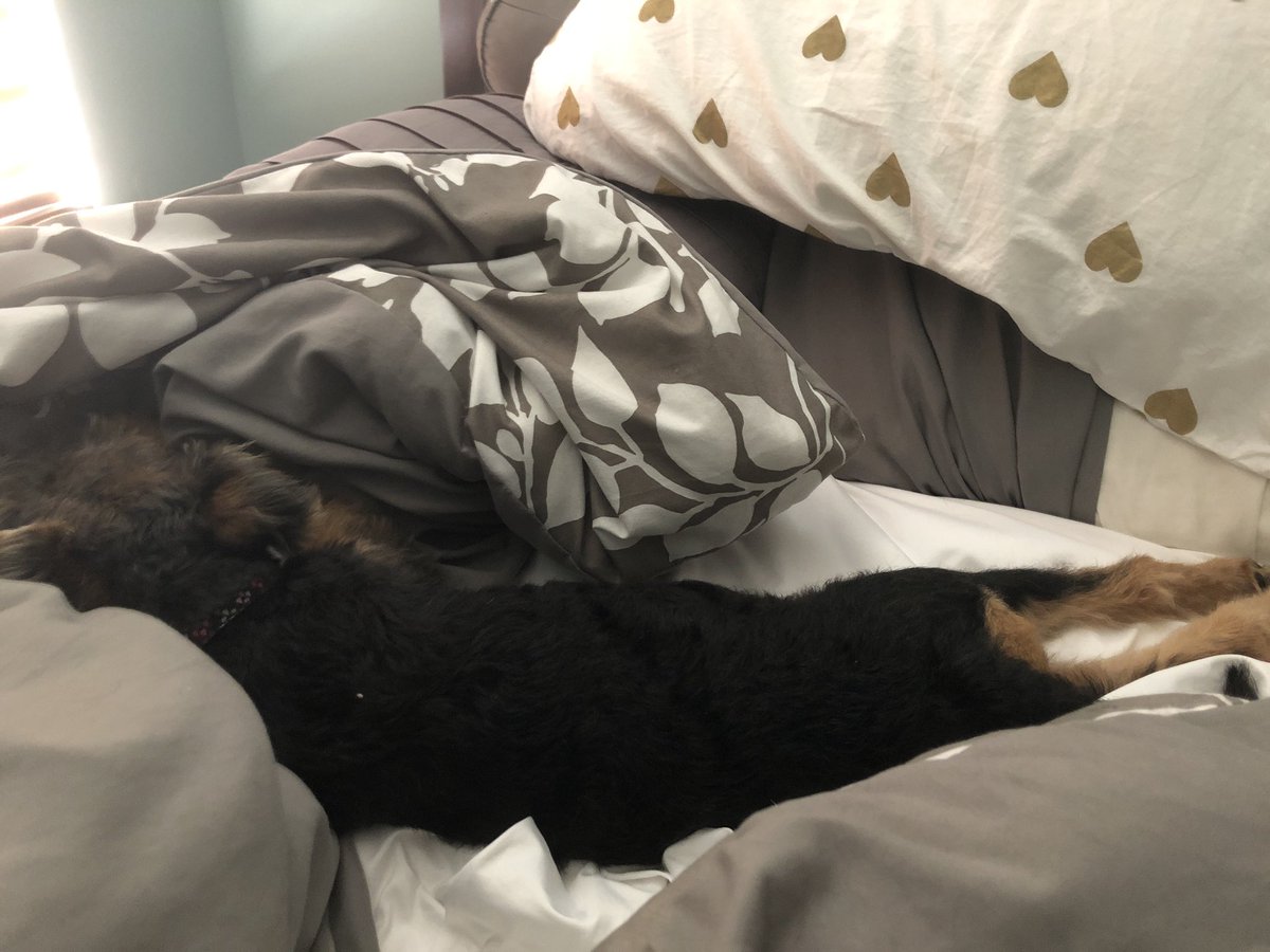 Daniel V. Zurawski tweet media