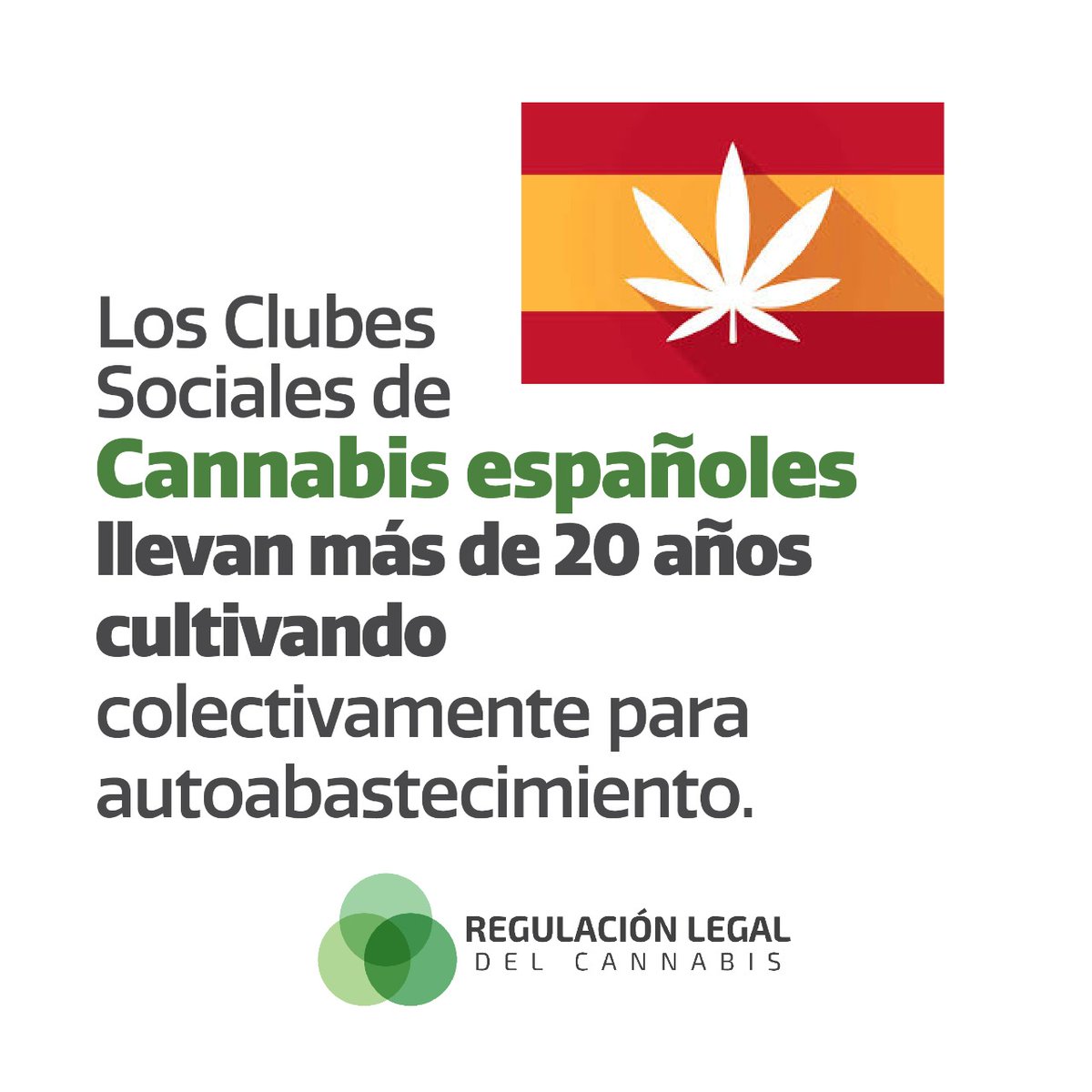 AmcMdq's tweet photo. RT de @RegulacionLegal 1 de 5
Elegimos algunos datos sobre los Clubes Sociales de Cannabis en España, donde se originó este modelo asociativo para cultivar y consumir cannabis. 
#cannabisregulado #hacelacuenta https://t.co/b5BIzI9oIY