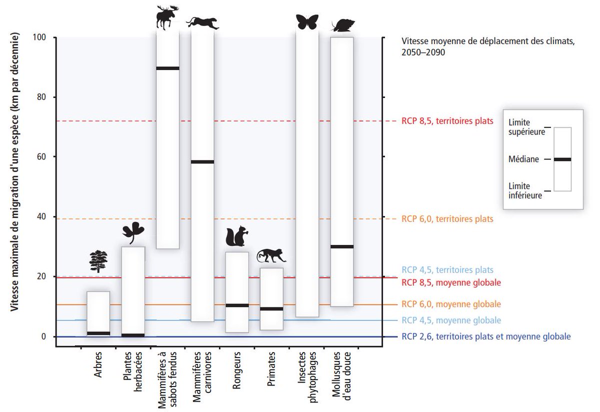 *Impacts sur la biodiversitéLe graphique vient du rapport de l’IPBES (GIEC de la biodiversité) sur l’évaluation mondiale de la biodiversité :  https://ipbes.net/sites/default/files/2020-02/ipbes_global_assessment_report_summary_for_policymakers_fr.pdfDans les rapports du GIEC, il y a un graphique intéressant sur la vitesse de migration des espèces vs CC.