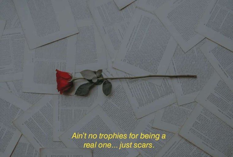 lauarr1's tweet photo. Ain't no trophies for being a real one... just scars. 🥀 #quoteoftheday #roses #LifeHacks https://t.co/wDijxz1pm6