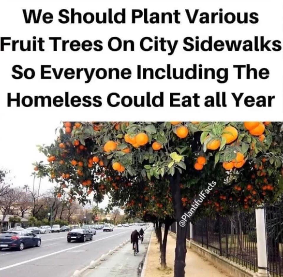 MonaBhalla's tweet photo. Who Else Luvs This 🙋🏽‍♂️🙋🏽‍♀️🍊 https://t.co/85HjzrlyjV