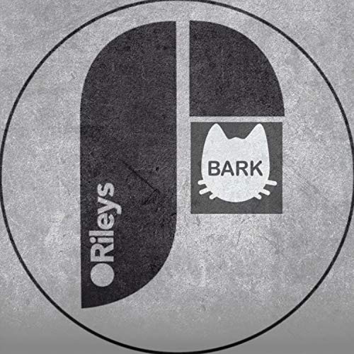 ▂▂▂▂▂▂▂▂▂▂▂▂▂▂ #TheWelcomeShow #137 PREMIERE 🔊 @bark_cats - O'Rileys Debut single released on JULY 10. 2020 🌐 fb.com/Catsthatbark/ 📸 instagram.com/catsthatbarkba… on #🆁🅺🅲 📻 radiokc.fm ▂▂▂▂▂▂▂▂▂▂▂▂▂▂