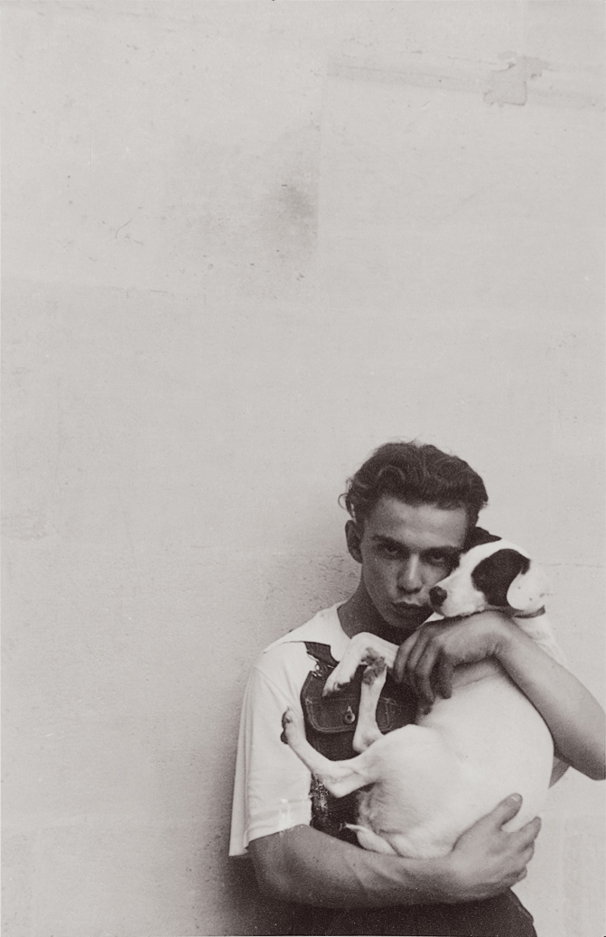 In memoriam Bertrand Reinach et sa famille tweet media