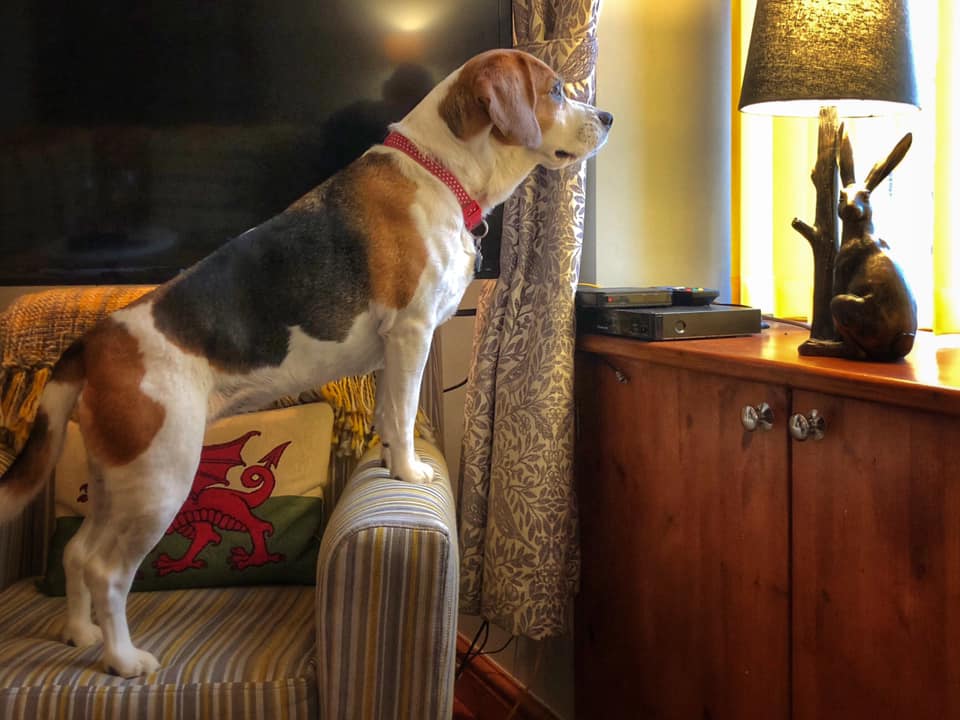 Ruby Garamond tweet media