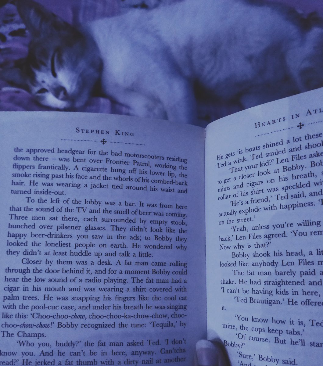 sayantika_c's tweet photo. Catnap.
#throwback https://t.co/G4kY1Tnetf