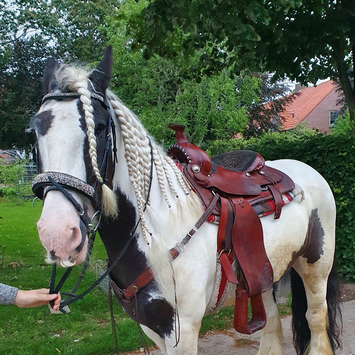 #NieuweProfielfoto