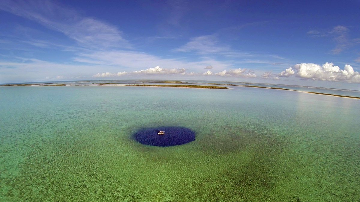Interested in learning more about past millennium hurricanes and sediment records from blue holes in The Bahamas? I’m defending my thesis next Thursday (July 23) at 2 pm. DM me for zoom link if you want to attend!