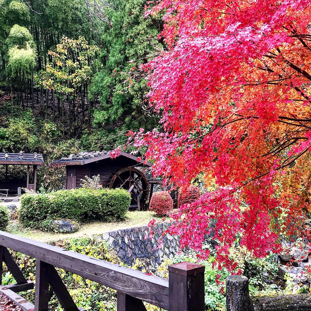 Day 101: water mill  #nakasendotrail  #tsumago  #magome  #Japan  #autumn – bei  樹梨