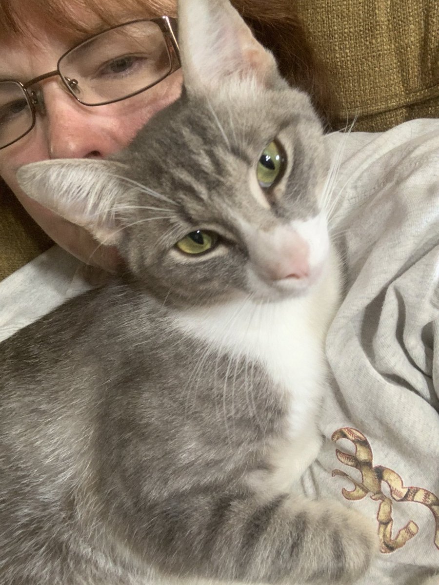 LisaNiemuth tweet media