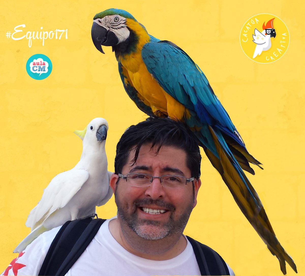 FerRubioA's tweet image. Hoy tuve muchos pájaros en la cabeza... 🦜🦜🦜

Pero de esos pájaros que molan, que motivan y que siempre tienen ganas de aprender.

Me encanta daros clase, #equipo171 de la @cacatuacreativa 

Gracias por vuestra participación en el #PlandeMarketing. Pronto la segunda parte 🚀