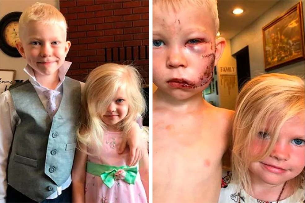 PaiModernoBlog's tweet image. Após salvar irmã, menino ganha escudo do Capitão América e título mundial de boxe paimoderno.com/noticias/apos-… Pai Moderno