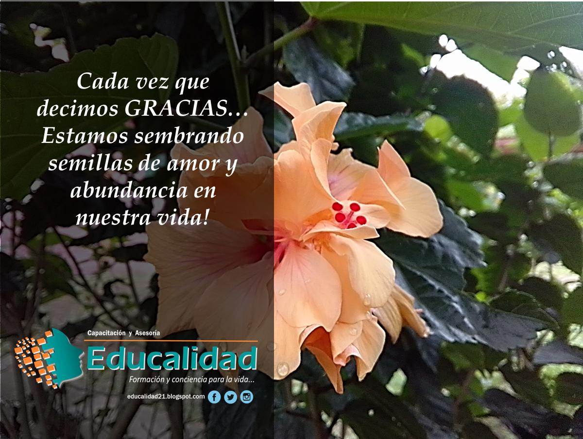Educalidad2 tweet picture