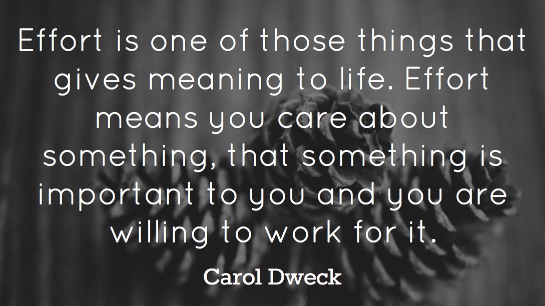 drmarciatate's tweet photo. Though not always recognized by society, at the end of the day, teachers are special because of the passion and effort they put into the education of their students—often under imperfect conditions. Teachers, do whatever you can to hold on to that passion—you’re needed. #edchat https://t.co/uMsVl8Lnjk