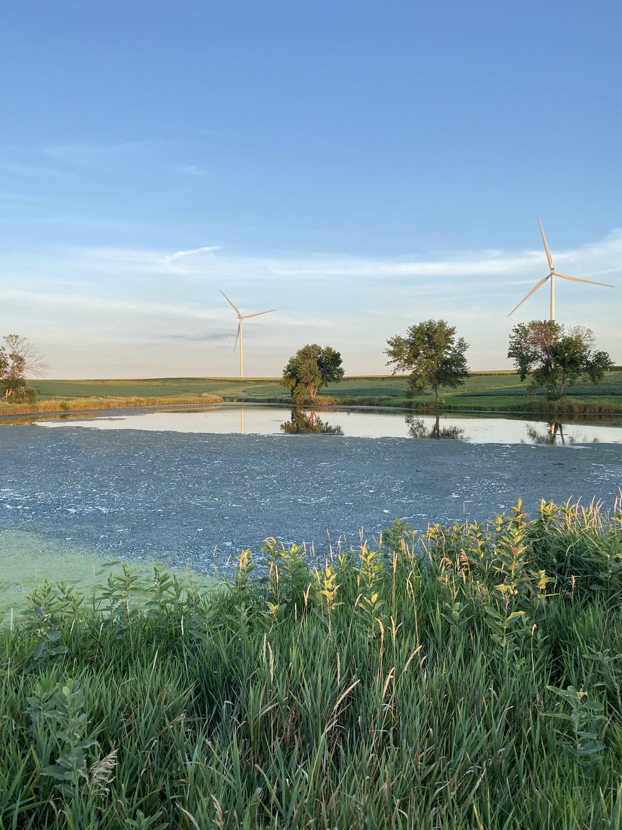 Dusty Rich 🇺🇸 tweet media