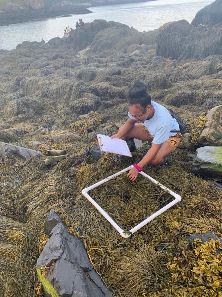 JeriylaKamaWeng's tweet image. I’m kind of new to Twitter so here’s my intro! 

Hello! My name is Jeriyla (je-rye-la) and I’m studying the ventilation of Spotted Ratfish at Friday Harbor Labs this summer! I enjoy studying fish, nature photography, and learning about different cultures! Nice to meet you 😊