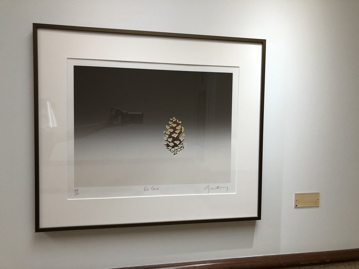 Courtney Yong MD tweet media