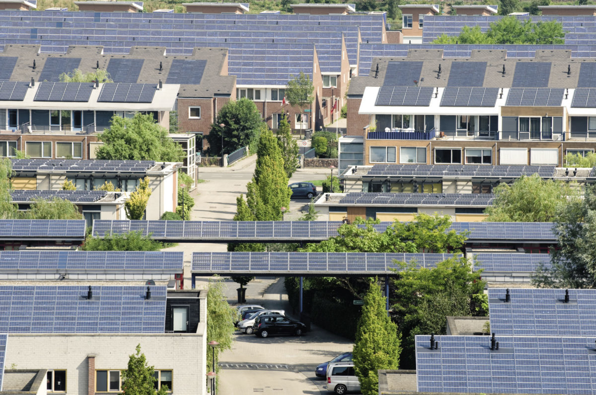 pvmagazineoz's tweet photo. Farm to table, the energy way: The emergence of the prosumer has been a feature of the rise of rooftop solar. But it can go far beyond the individual household or business, argues Frédéric Gastaldo, CEO of Tiko Energy… https://t.co/gpg2eAR8KR #solarenergy #solarpv #solar https://t.co/GZ6rvGaWQo