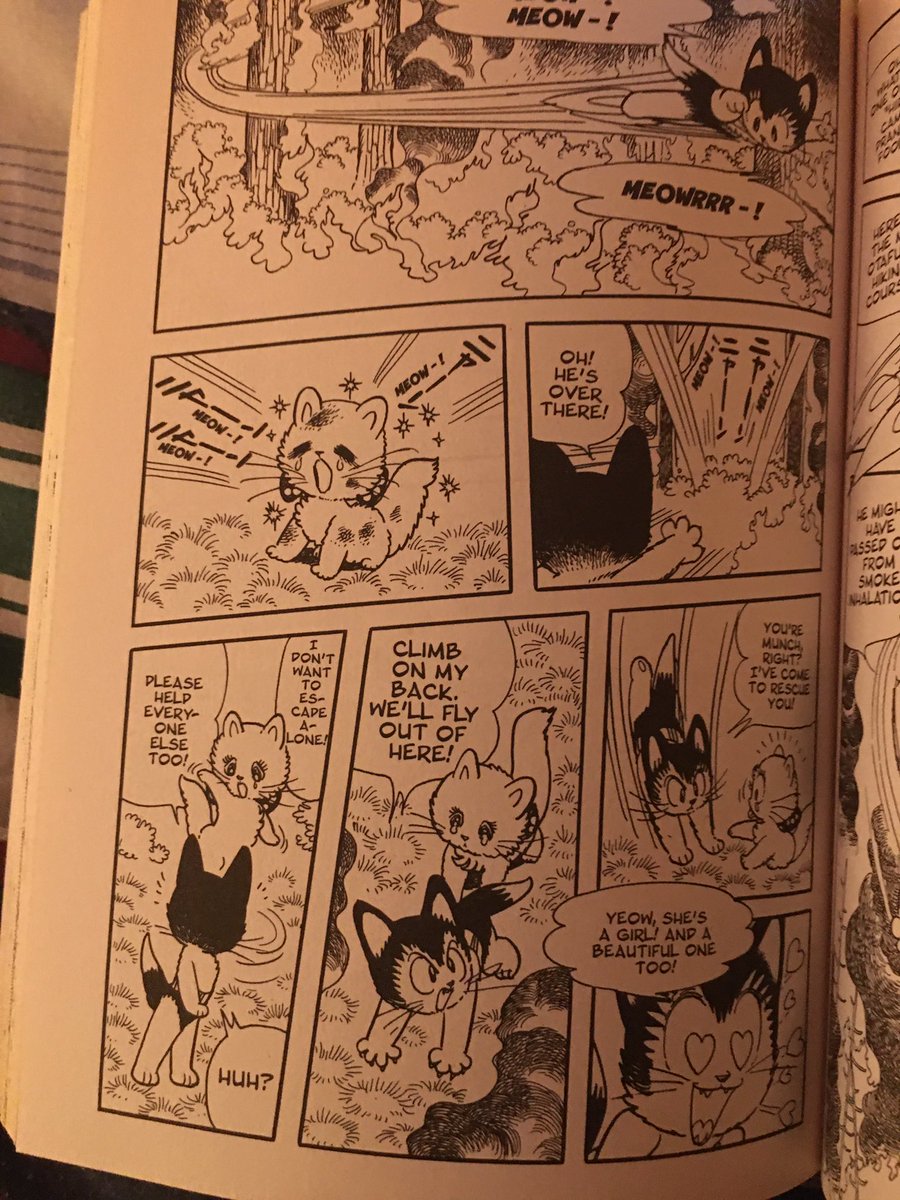 Ochan30's tweet photo. @Kleeh1954 Actually Astro Kitty is based off of Atomcat, a spin-off manga from Osamu Tezuka! I like that they keep certain Tezuka-isms in this show!
#AstroBoy #GoAstroBoyGo #AstroKitty #Atomcat https://t.co/RiVUrkKUuy