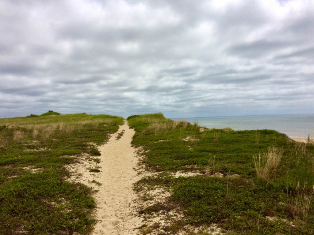 CapeCast tweet media