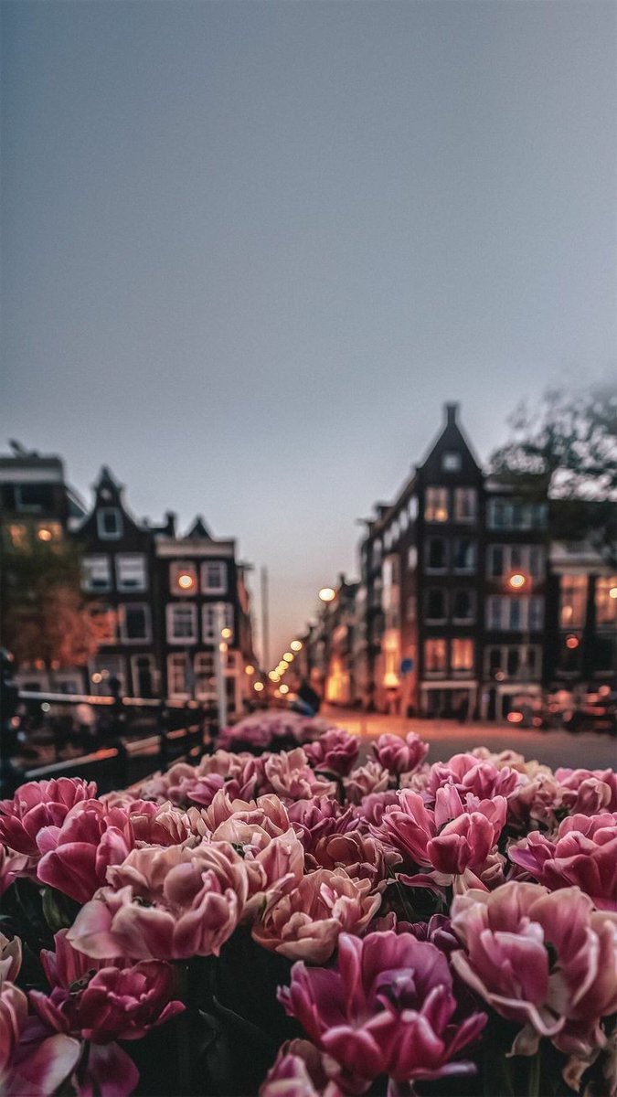 Hengame49's tweet photo. The most beautiful morning in the world rises in the eyes of people who hold the hand of hope and pursue their goals with effort and kindness ...
#fridaymorning
#FridayMotivation https://t.co/Y7WliaDhjE