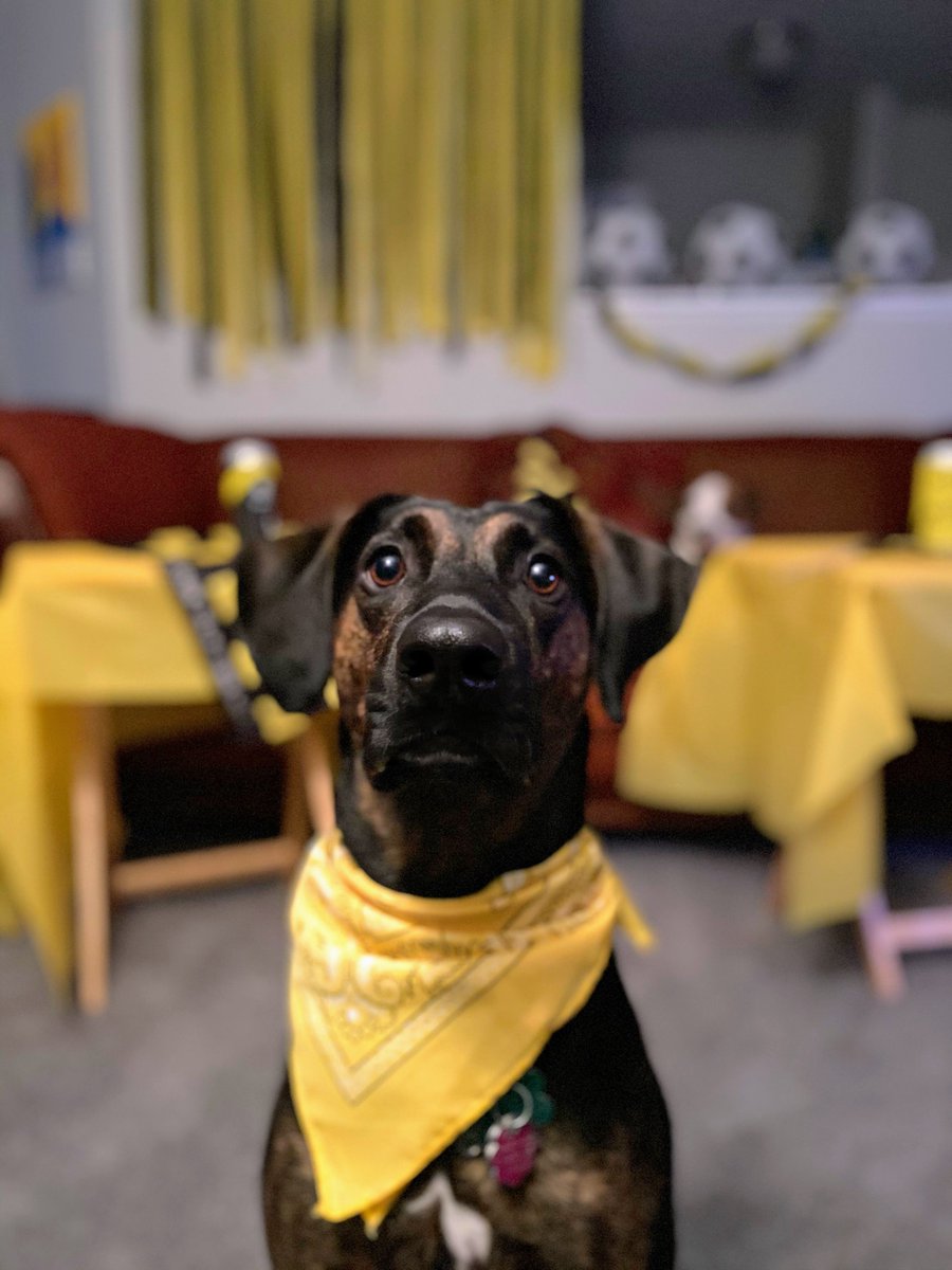 CieraJThomas's tweet photo. Ready for tonight’s match! #Crew96 https://t.co/HSrDypKyMG