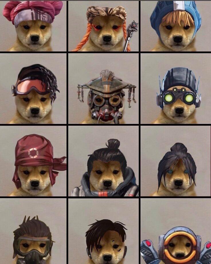 twapexlegends's tweet photo. Apex Lomitos. 🐶🤭

#ApexLegends 

Créditos a quien corresponda. https://t.co/4Czi3LlGGB