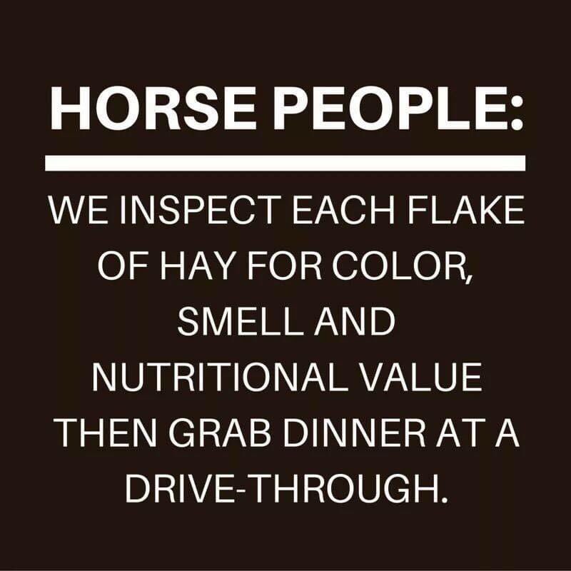 WardStables's tweet photo. https://t.co/hBB7nR7S0W