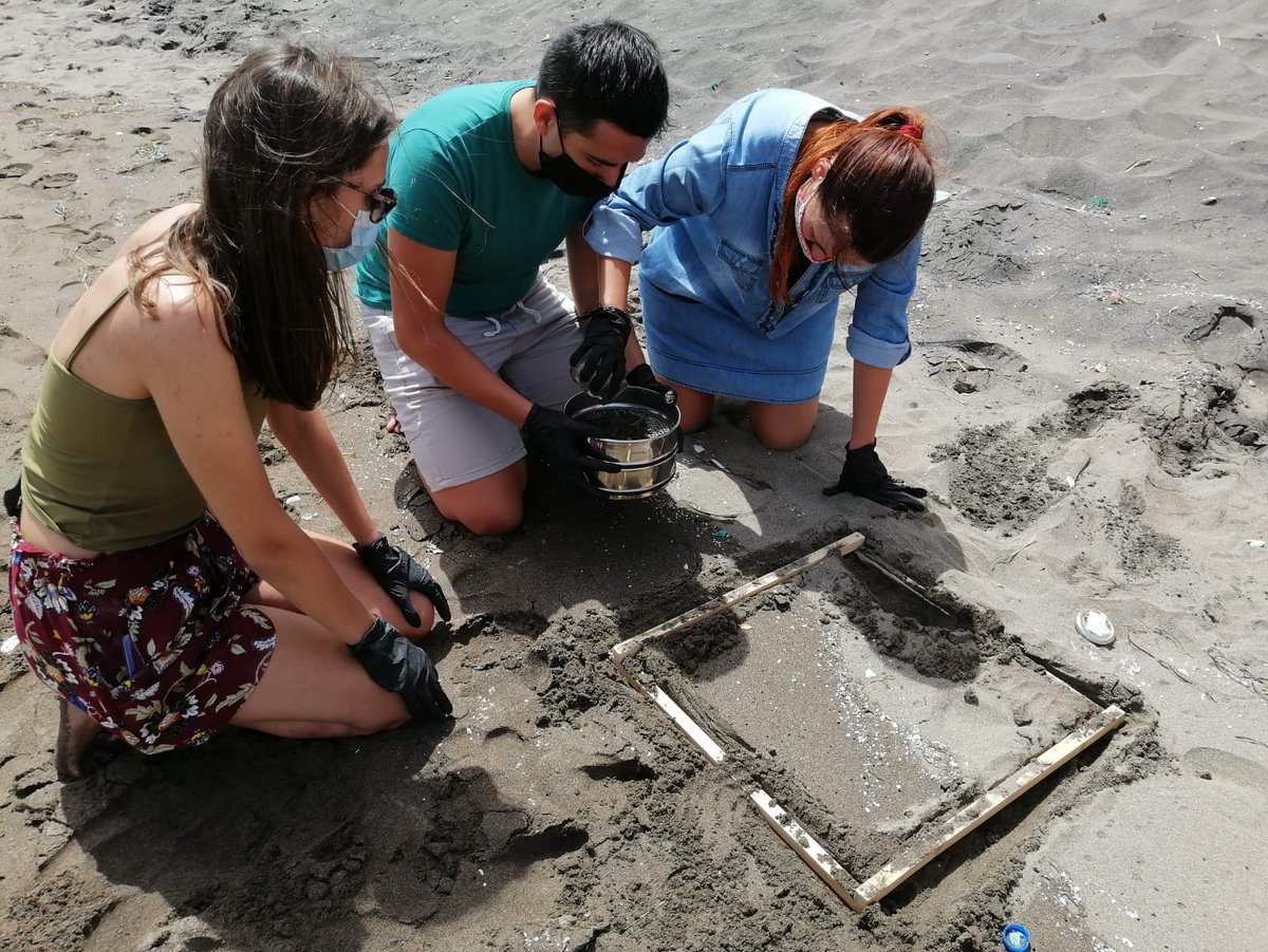 Hoy <a href="/AchemGroup/">AChem Research Group</a> ha estado de nuevo en Playa Grande (Arico) impartiendo un taller a los próximos voluntarios del proyecto de ciencia ciudadana sobre #microplasticos en colaboración con <a href="/Des_Sostenible/">Des. Sostenible y Lucha contra el Cambio Climático</a> y <a href="/TerramareMed/">TERRAMAREMEDIOAMBIENTE</a>. <a href="/IMPLAMAC/">IMPLAMAC CAPITALIZACIÓN</a>