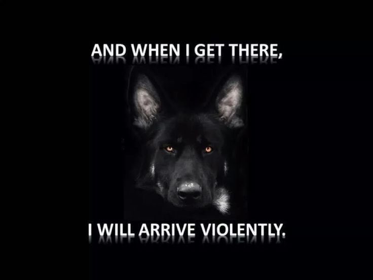 Sometimes it’s the only solution to protect the good and innocent