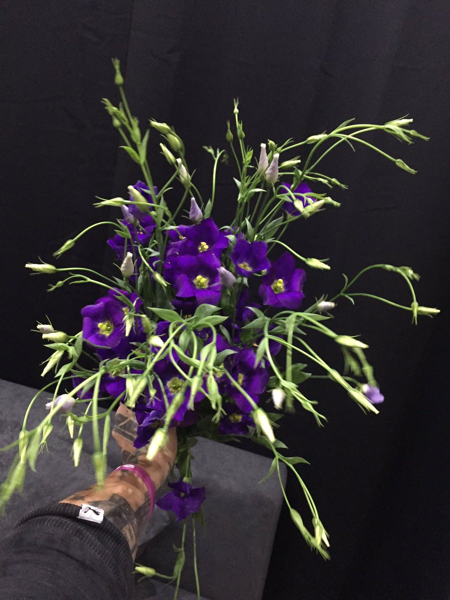 Café Lady tweet media