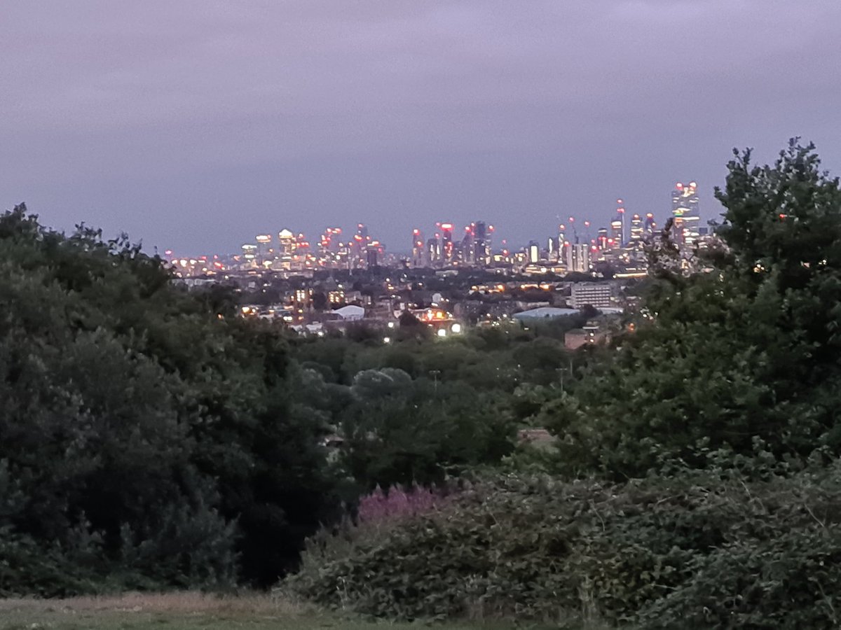 Franglais27's tweet photo. Evening view of the London skyline from Parliament Hill on Hampstead Heath!
How are you spending this balmy Thursday evening?
#sunsethours #HampsteadHeath #London https://t.co/1mLCOhEGuH