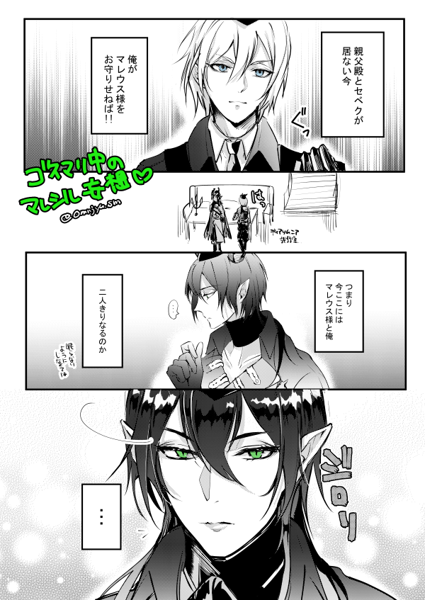 ゴスマリ中のマレシル妄想(*'Д`)~♡
#twst_BL 