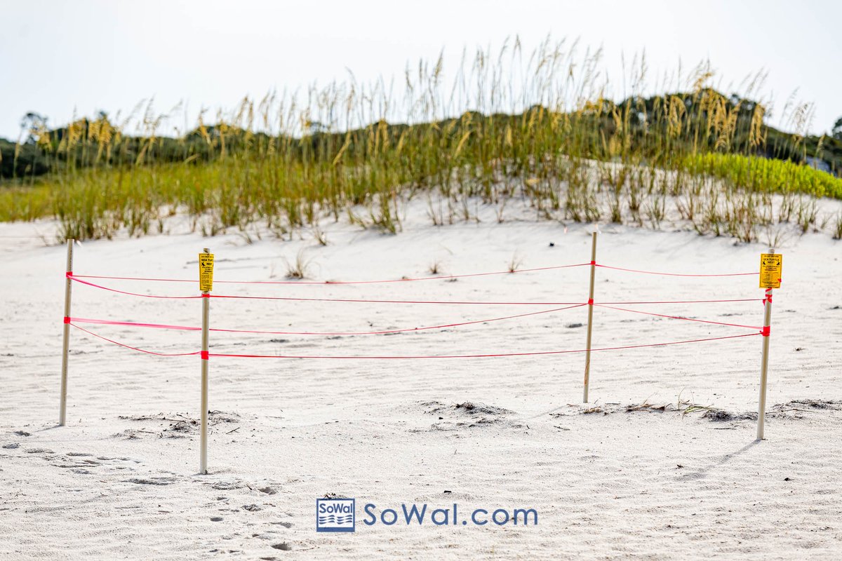 SoWalBeaches tweet picture