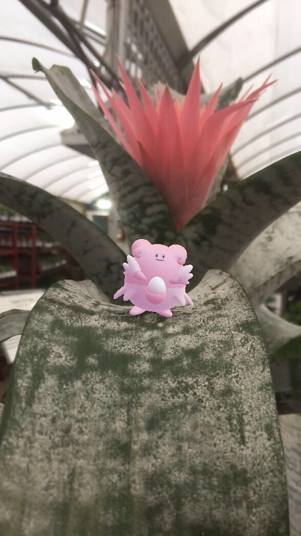 tinypokemonpics's tweet photo. In these not-so-normal times it brings me bliss to post a new picture, even if my puns are still not eggcelent
Two important things!
1: Please wear a mask in public! Wash your hands for 20 seconds regularly! At least here in the states this pandemic is worse than ever and we https://t.co/J3J1Fe6vRm
