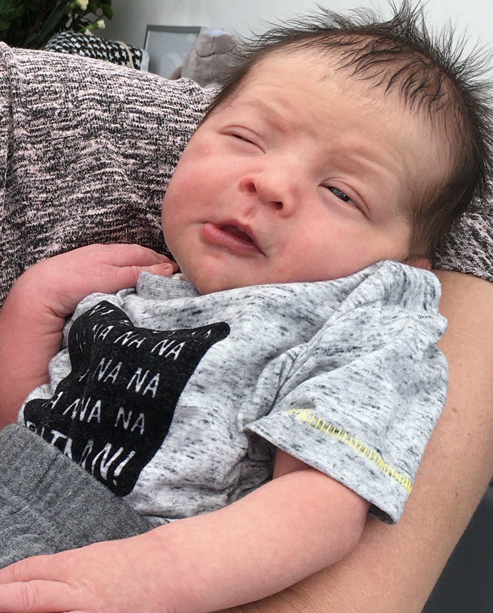 Kevin Toole tweet media