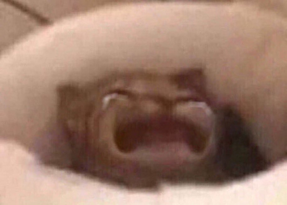 witchytwitchytv's tweet photo. Do you ever get raided by a streamer and go to their channel at the end of the night to listen to the end of their vod and hear all the nice things they say about you to their chat and you’re just like https://t.co/CkfzWqHPjm