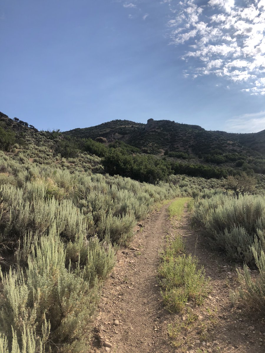 lauren1717's tweet photo. LOVE summertime in the mountains❤️❤️❤️❤️🤩🤩🤩🤩 https://t.co/AFvHsKY7Hz