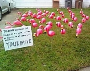 lizards112's tweet image. a flamboyance
#humandecency 
#humanity 
#humanbeing
#onehumanfamily
✌🏻🙏🏻🤔😘🌄❤🦎