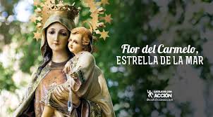 Carmen Jara tweet media