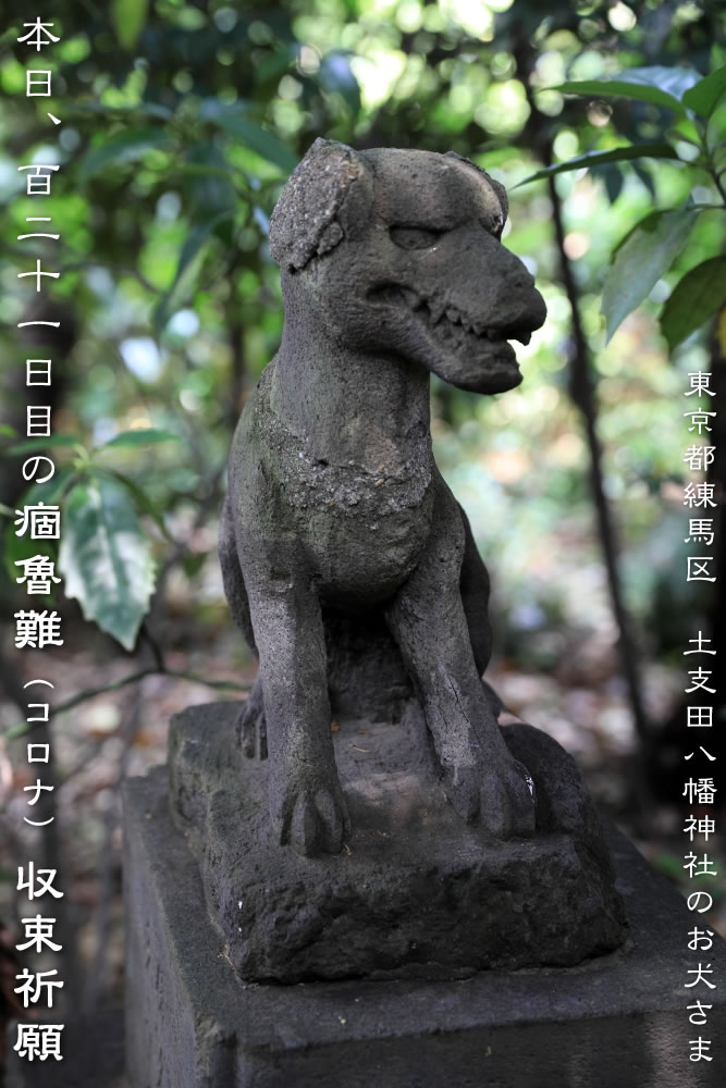 Uzivatel 青柳健二 狼信仰 狼像の本 オオカミは大神 狼像をめぐる旅 天夢人 Na Twitteru 本日 121日目の痼魯難 コロナ 収束祈願のお犬さま 狼 江戸時代疫病発生時 疫病除けとしてお犬さま 狼 信仰が流行しました とくに三峯神社 や木野山神社など Uzivatel 青柳健二 狼信仰 狼像の本 オオカミは大神 狼像をめぐる旅 天夢人 Na Twitteru 本日 121日目の痼魯難 コロナ 収束祈願のお犬さま 狼 江戸時代疫病発生時 疫病除けとしてお犬さま 狼 信仰が流行しました とくに三峯神社 や木野山神社など