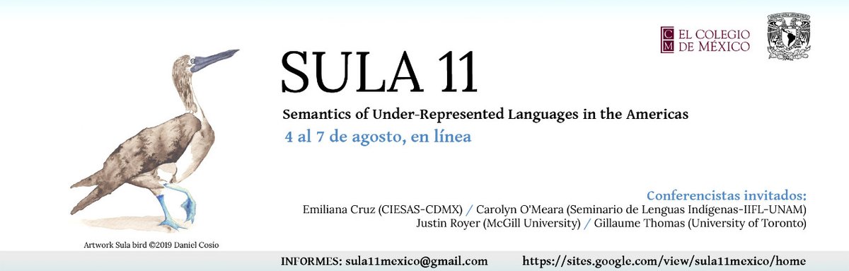 LinguisticaMex's tweet photo. 👇🏼 https://t.co/OPJXPu6ekv