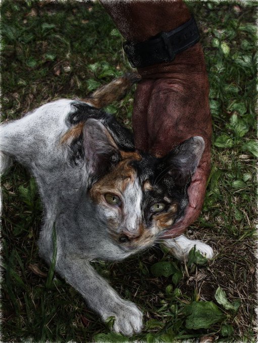 筆画のtwitterイラスト検索結果 古い順