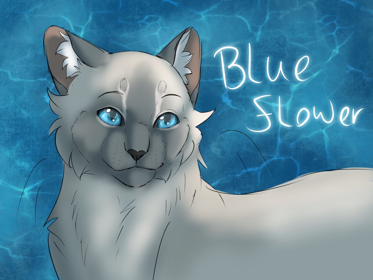 A sketch I did for a friend of her character, Blueflower! I used procreate for this. #warriorcats