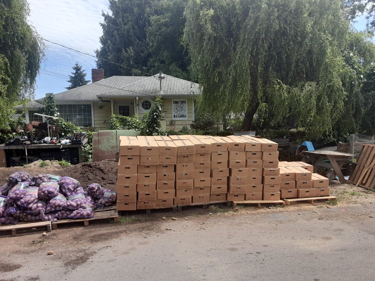 FoodisFreeTacom's tweet photo. 3500lbs of Farm to table boxes this week. Tacoma Urban Farm 6515 Tacoma Avenue South  #foodisfreetacoma #gardensforthepeople #eastwestfoodrescue #farmerfrog #feedthyneighbor #foodisfree https://t.co/2goxdBwA9b