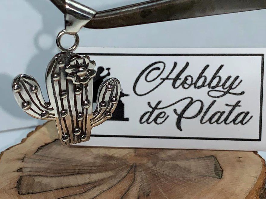 hobbydeplata's tweet photo. Clienta amante de los Cactus me pidió hacer uno y salió este pequeño (tamaño moneda de 500 pesos). Como siempre hecho a mano en Plata 950.

#joyasdeplata #arosdeplata #anillosdeplata #pulserasdeplata #losangeles #losangeleschile #reparacionjoyasdeplata #orfebreriaenplata https://t.co/1Qvjhbergu